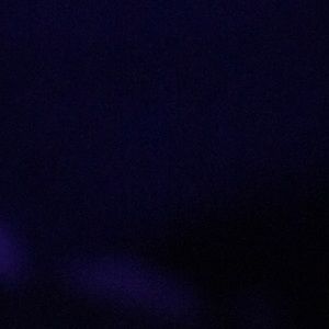 Meet your Posher, Leonardo